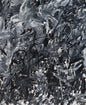 Untitled Colorless Series #8