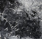 Untitled Colorless Series #9